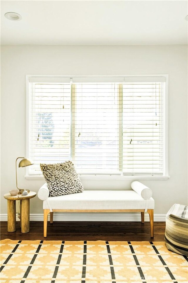 living area featuring baseboards and a wealth of natural light