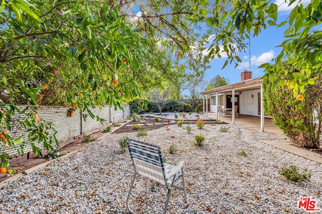 view of yard featuring a patio area