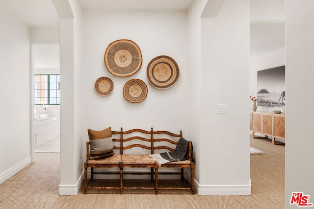 living area with carpet flooring