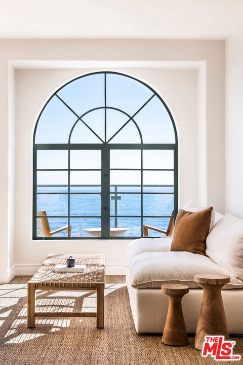 sitting room with carpet flooring and a water view