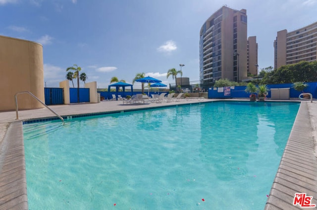 view of pool featuring a patio