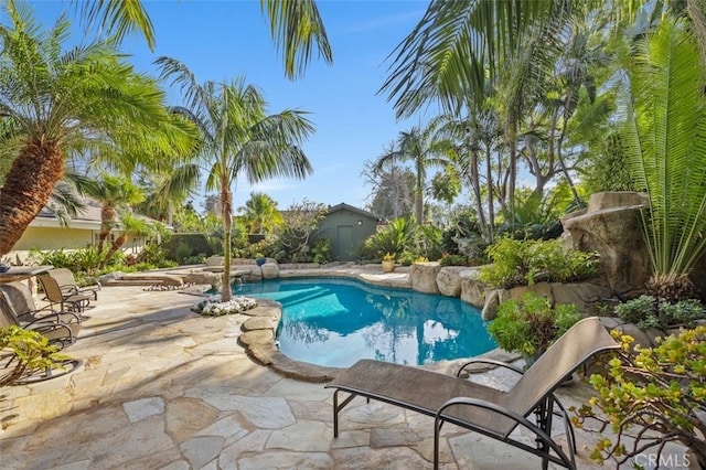 view of pool with a patio