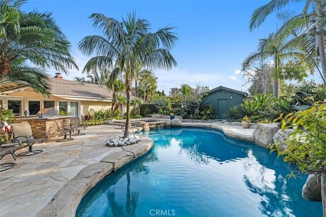 view of pool with a patio and an outdoor bar