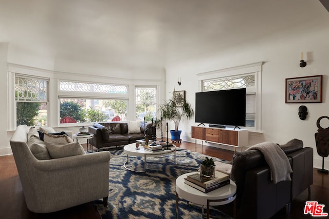 living room with dark wood-type flooring