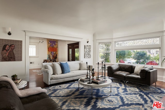 living room with dark hardwood / wood-style flooring