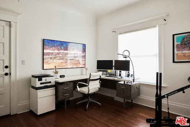 office area featuring dark hardwood / wood-style flooring