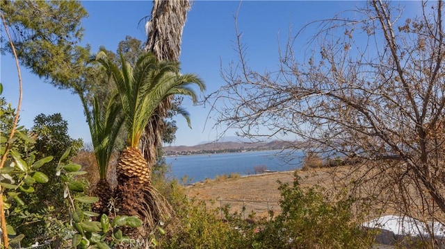 property view of water featuring a mountain view