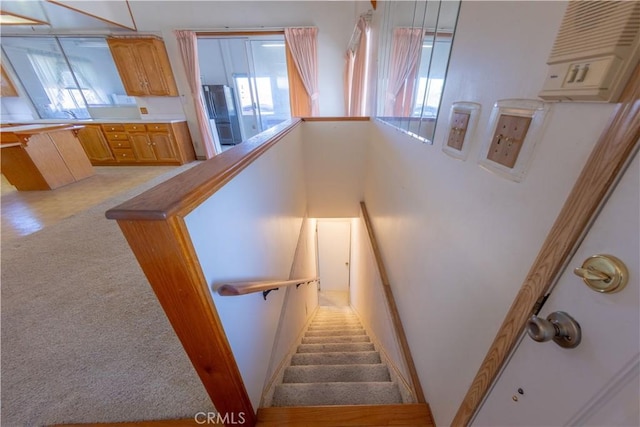 staircase featuring a towering ceiling and carpet flooring