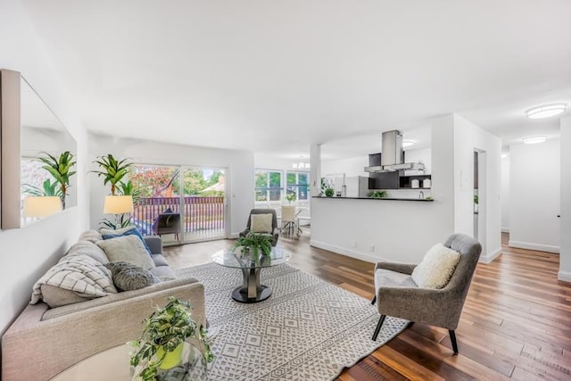 living room featuring hardwood / wood-style floors