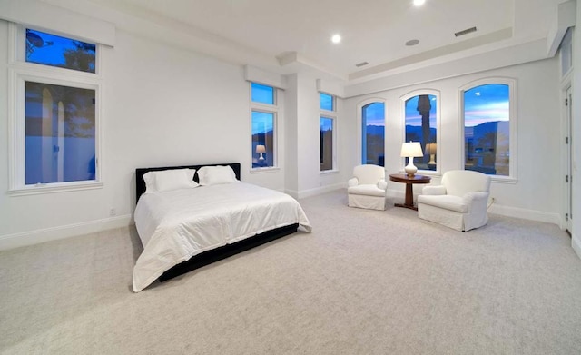 carpeted bedroom featuring a tray ceiling