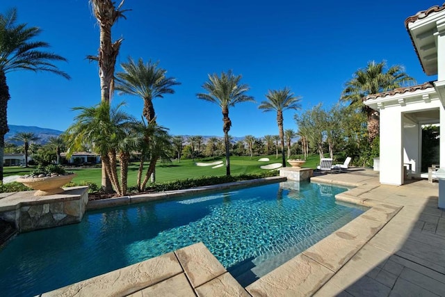 view of pool featuring a patio area and a yard