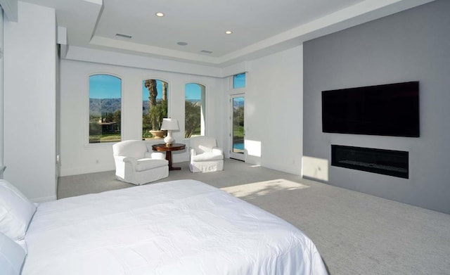 carpeted bedroom with a raised ceiling