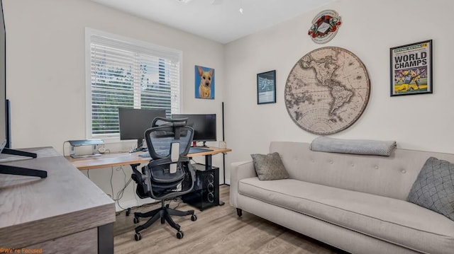 office space featuring light hardwood / wood-style floors