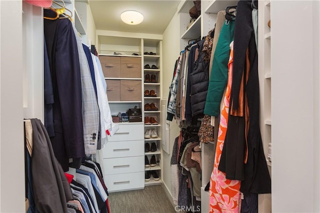 walk in closet featuring carpet flooring