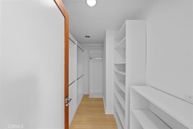 spacious closet featuring light wood-type flooring