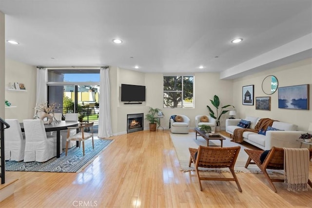 living room featuring light hardwood / wood-style flooring