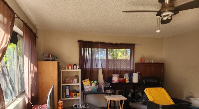 misc room with a textured ceiling, ceiling fan, and a wealth of natural light