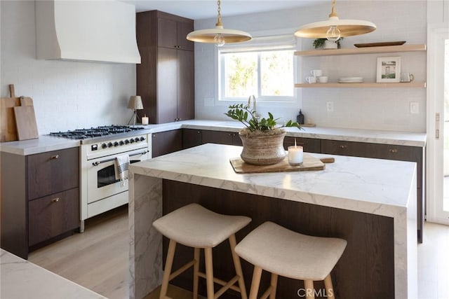 kitchen with high end white range oven, custom range hood, backsplash, light hardwood / wood-style flooring, and dark brown cabinets