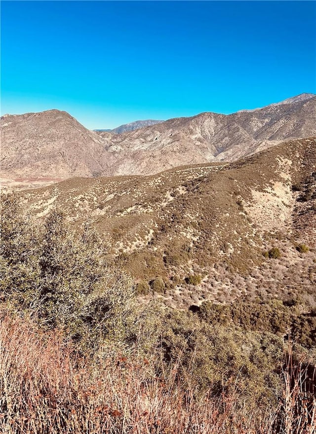 37551 Pisgah Peak Rd, Yucaipa, CA 92399