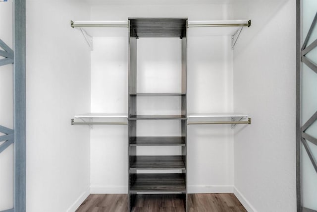 walk in closet featuring wood-type flooring