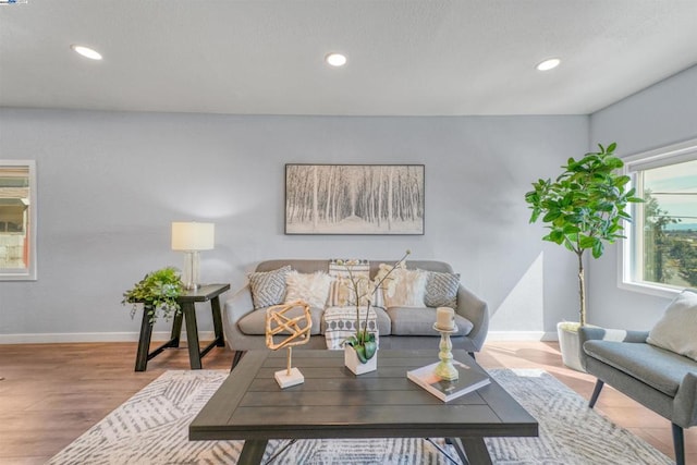 living room featuring hardwood / wood-style floors