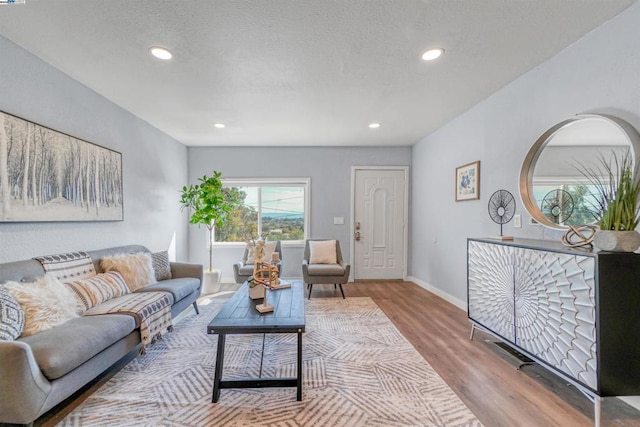 living room featuring a textured ceiling and light hardwood / wood-style flooring