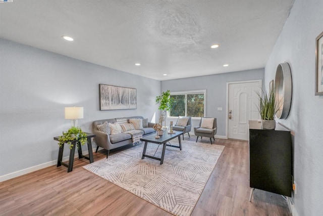 living room with light hardwood / wood-style floors