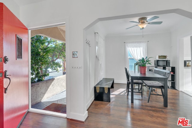 dining area featuring ceiling fan and dark hardwood / wood-style flooring