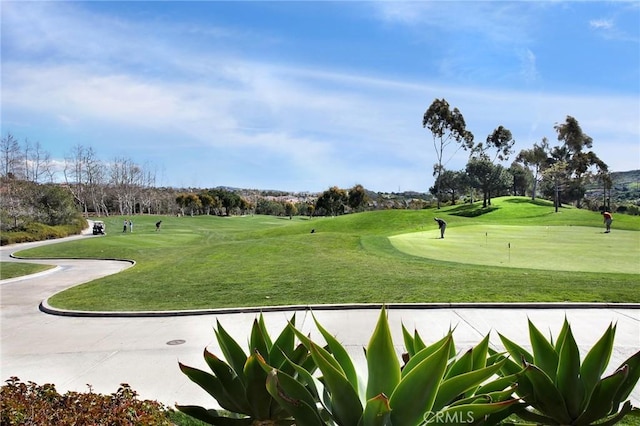 view of property's community with a yard