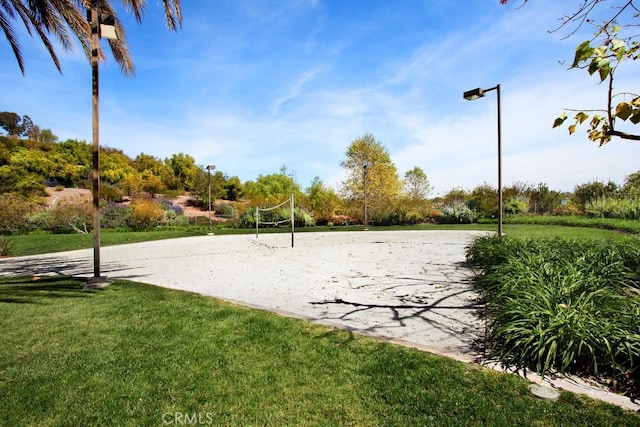 surrounding community featuring volleyball court and a yard