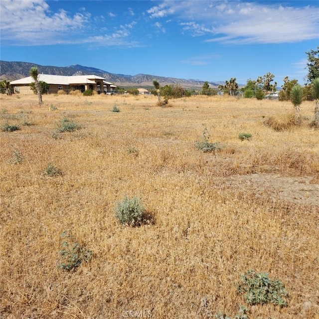 Listing photo 2 for 0 Arena Rd, Pinon Hills CA 92372