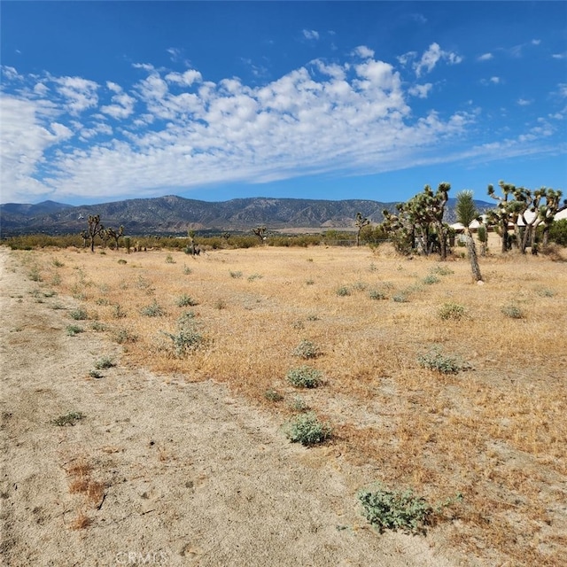 0 Arena Rd, Pinon Hills CA, 92372 land for sale