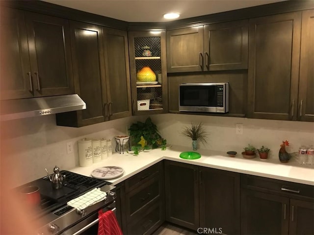 kitchen featuring appliances with stainless steel finishes and dark brown cabinets