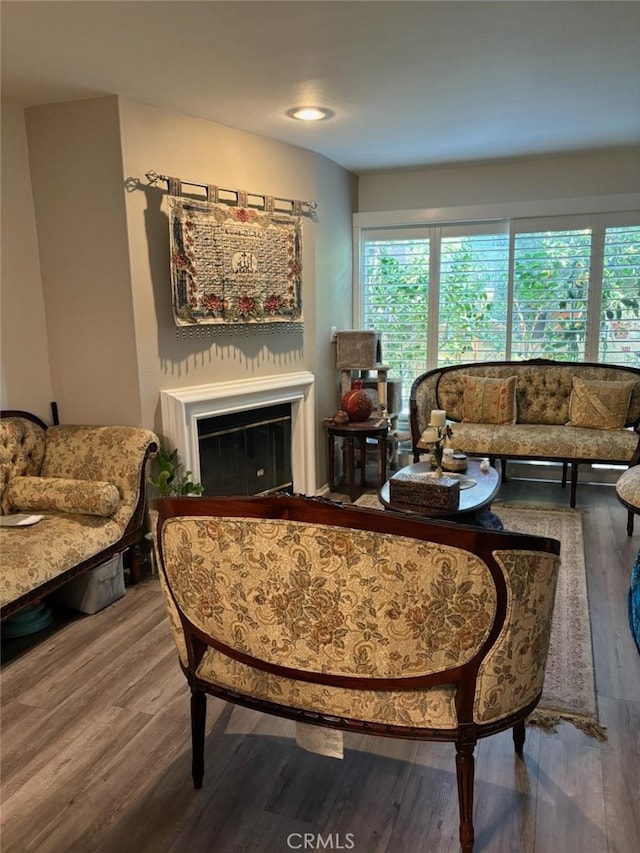 living room featuring hardwood / wood-style flooring