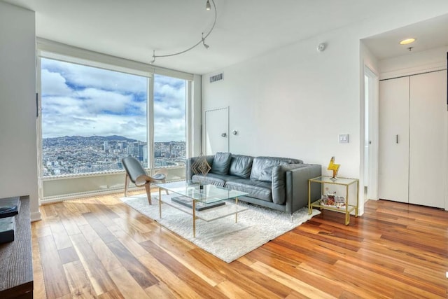 living room with rail lighting, a wealth of natural light, and hardwood / wood-style floors