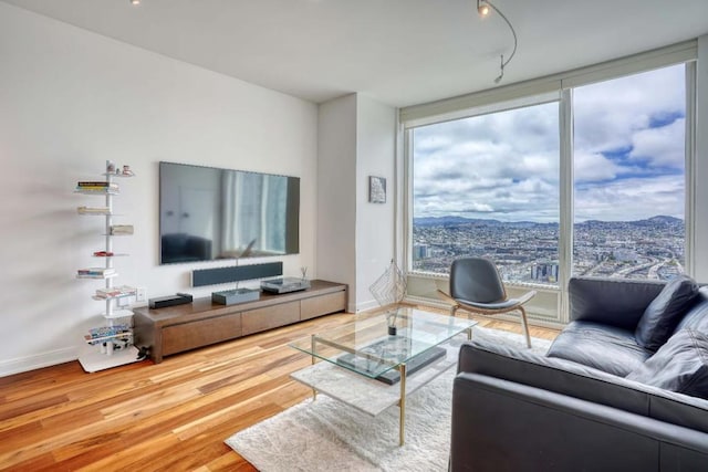 living room with wood-type flooring