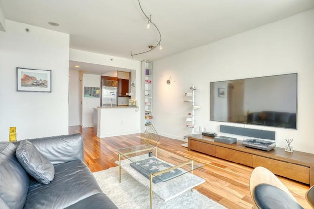 living room featuring wood-type flooring