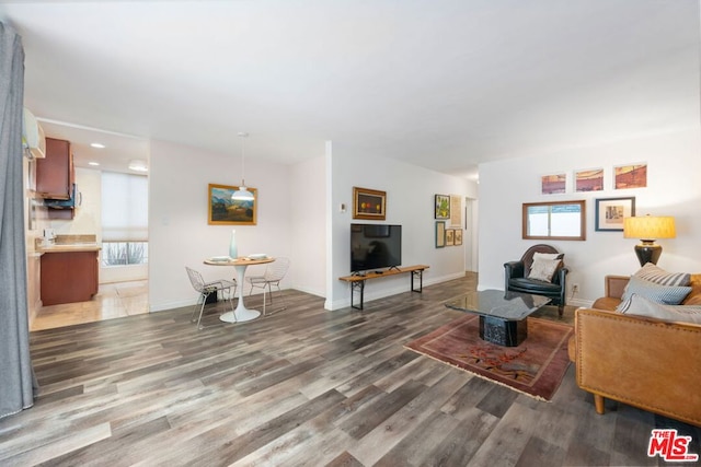 living room with dark hardwood / wood-style flooring