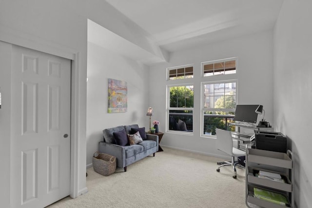 office area with carpet flooring