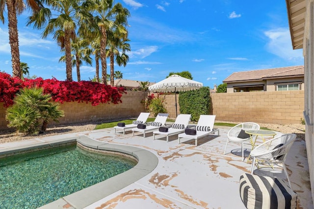 view of swimming pool with a patio