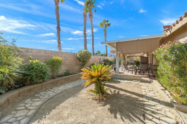 view of yard with a patio