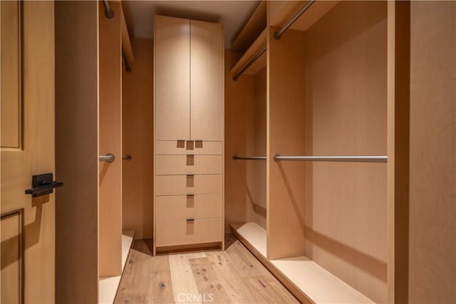 walk in closet featuring light wood finished floors