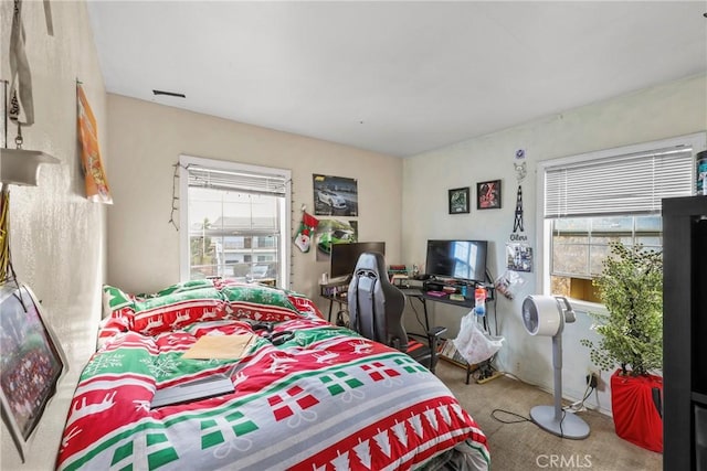 bedroom with carpet floors