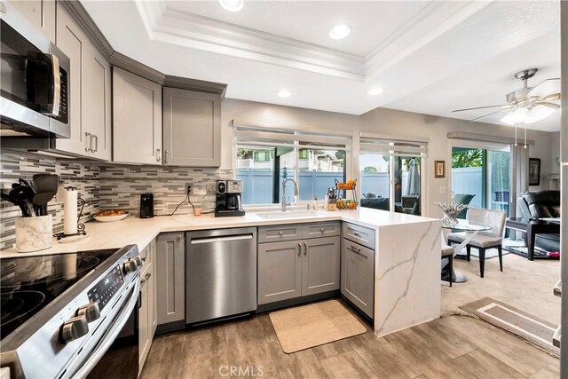 kitchen featuring sink, appliances with stainless steel finishes, gray cabinets, and a raised ceiling