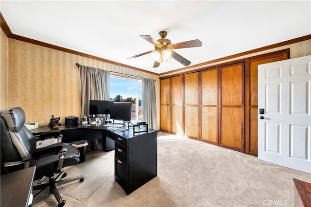 carpeted office space with ceiling fan and ornamental molding