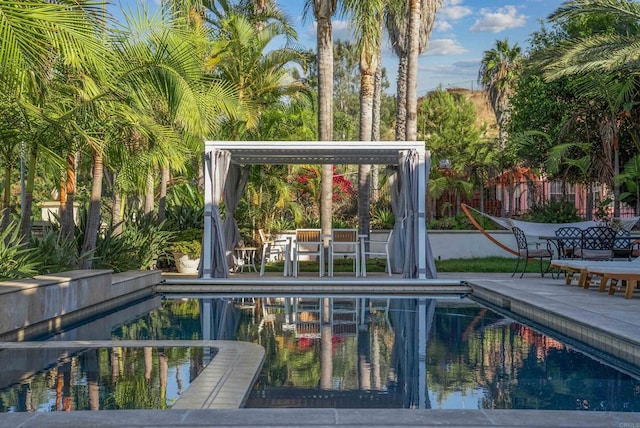 view of pool with a patio area