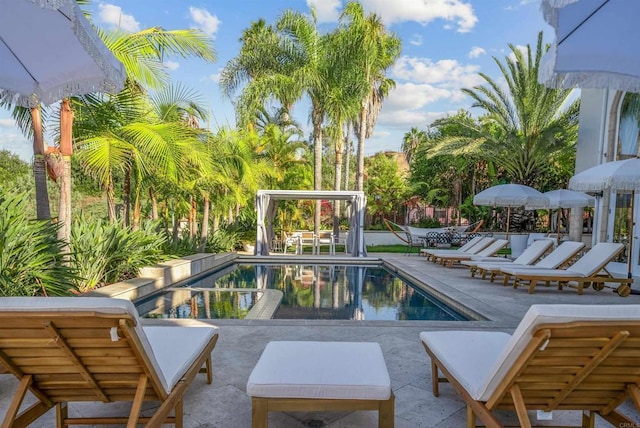 view of swimming pool featuring a patio