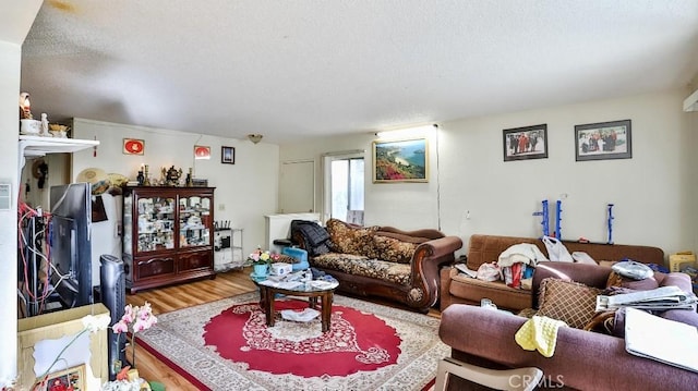 living room with wood-type flooring and a textured ceiling