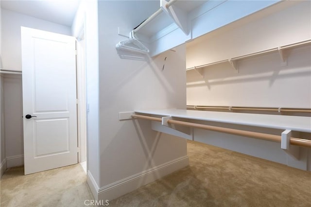 walk in closet featuring light carpet