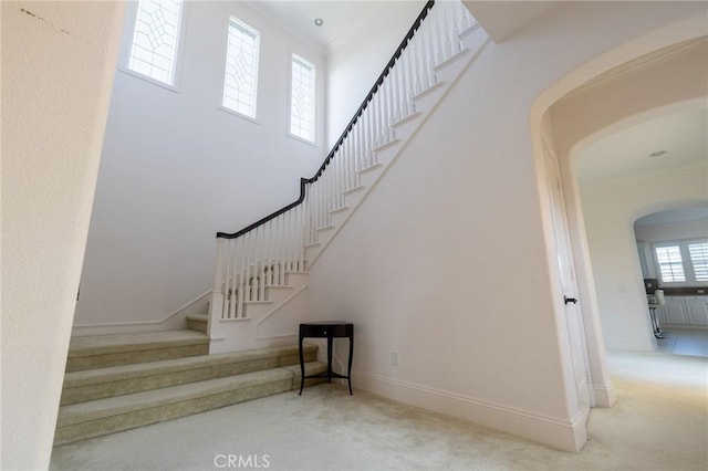 stairs featuring crown molding and carpet floors